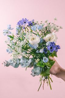 春の青を集めて