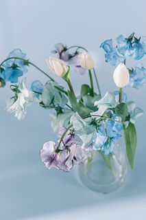 青空に咲くチューリップ