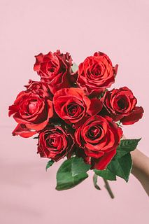 7本のバラのメッセージ