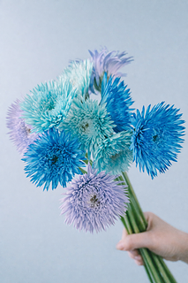 たっぷり!10本入り「寒色ガーベラmix」