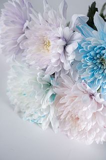 パステルカラー染めマムMIX