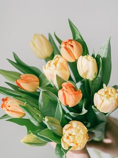 【産直】センティアのおまかせチューリップ（ビタミンカラー）（14〜15本）