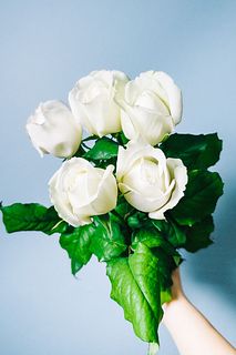 【2月のお買い得】ミルラの香りバラ「シェドゥーブル」