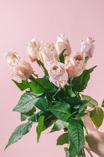 バラ「ブリュット！」