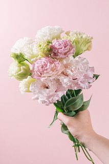 春色トルコキキョウ