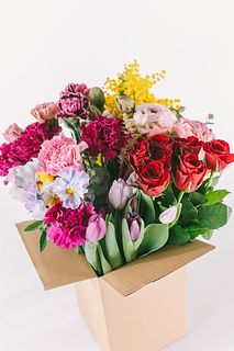 6束入り！贅沢スプリングコレクション