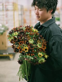 フローリストfumiya推し花！ルドベキア「キャラメルMIX」