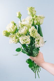 ライムグリーンのトルコキキョウ