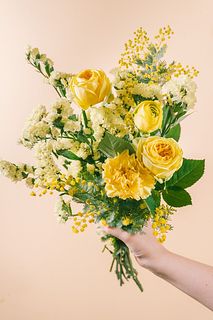 ひよこのお散歩