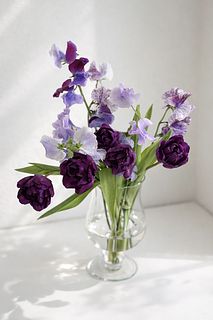 すみれいろの春さがし