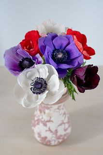 カラフルアネモネmix