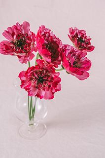 高級ラナンキュラス「シャルロット」