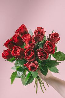 たっぷり!14本の赤バラ