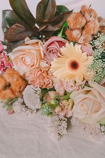 コットン入り！ミルクココアのおまかせブーケ