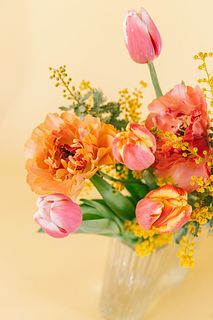 照れ屋なミモザとはにかみシャルロット