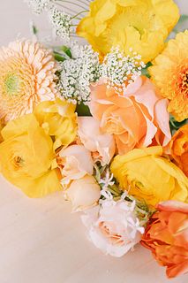 陽だまりオレンジのおまかせ