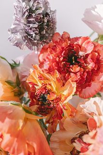 ひまわり咲き大輪ラナンキュラス（5本）