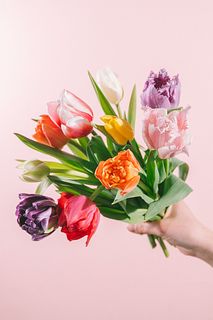 小さなチューリップ畑（10本）