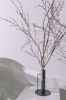 花咲く和の香り「アブラチャン」