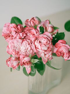 【産直】極上の香り！「パリス」