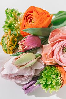 変わり咲アソート「チューリップ」と「ラナンキュラス」