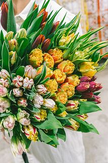 超希少チューリップアソート