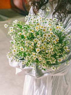 圧倒的なボリューム感!マトリカリア「シングルペグモ」