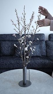 春の枝物「啓翁桜」(ロングサイズ)