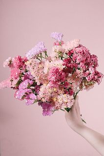 さくら色のスターチス