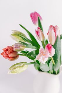 ピンクアソート「チューリップ」