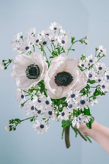 ネイビーアイを束ねて