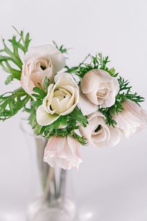 ミニサイズアネモネ「ホワイトブラックセンター」