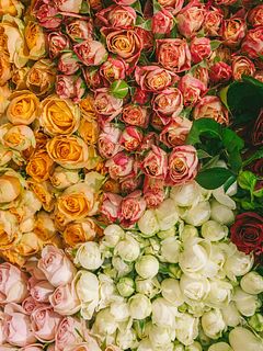 フローリストfumiya厳選「スプレーバラMIXブーケ」