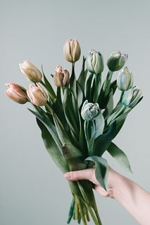 よくばりフローズンとセピアチューリップ（八重）