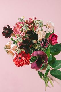 シックカラーアソート