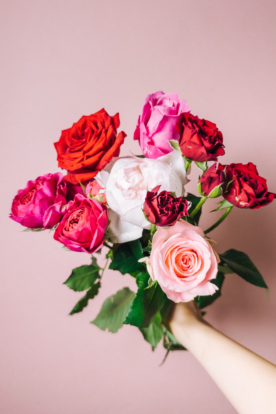 ラブリーローズ