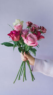 ROSE ROSE ROSE
