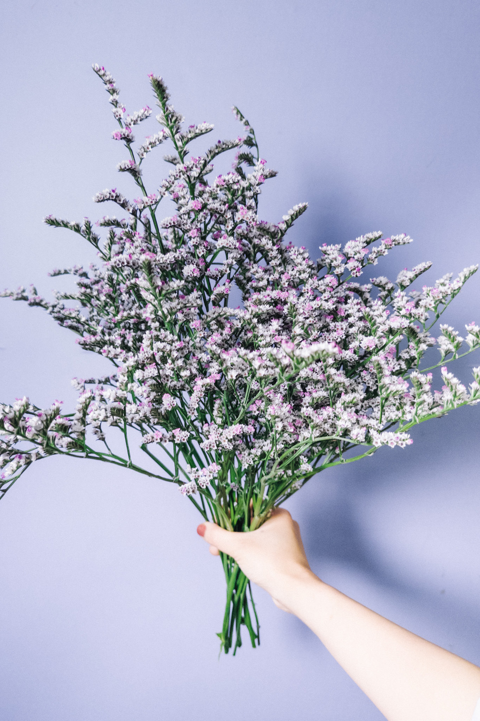 オリンピアーナ