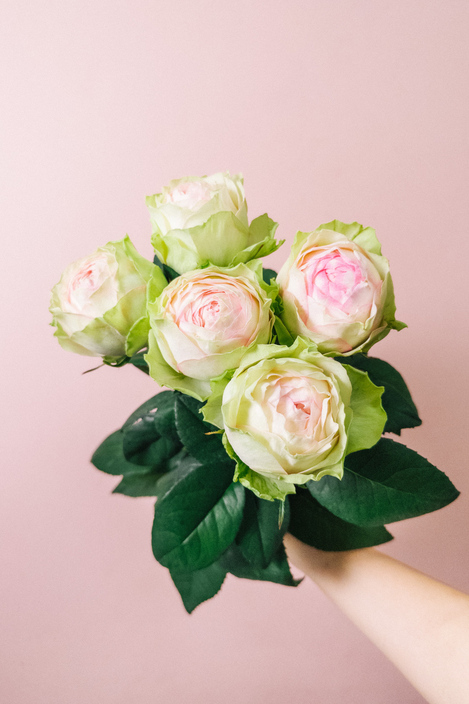 アルヌワブラン