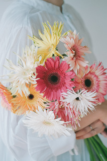 産直】松木園芸の大輪ガーベラ