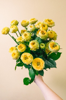 サニートレンドセッター