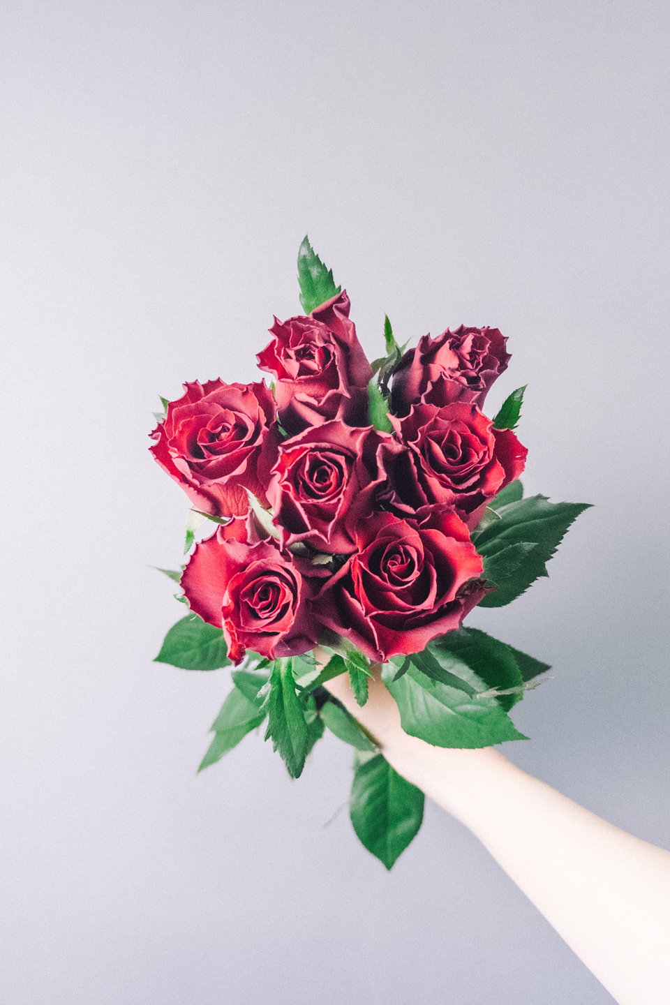 バラ「ヴァーグ」