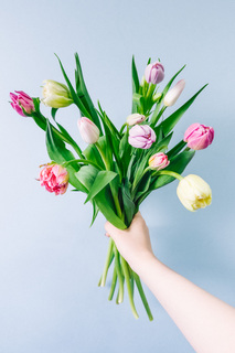 チューリップ畑から