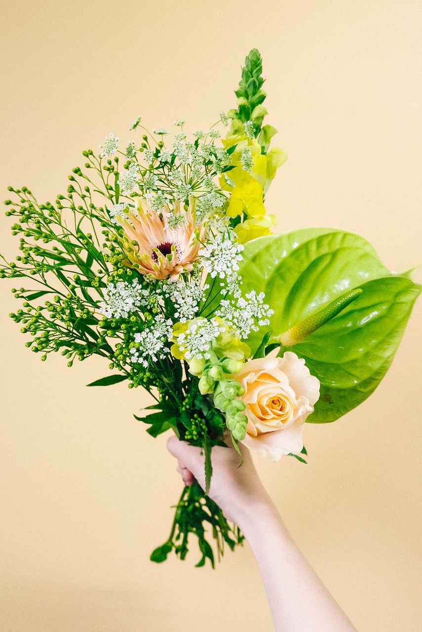 ソリダスター】人気の花束・ブーケ特集 | FLOWER｜かわいい花束を