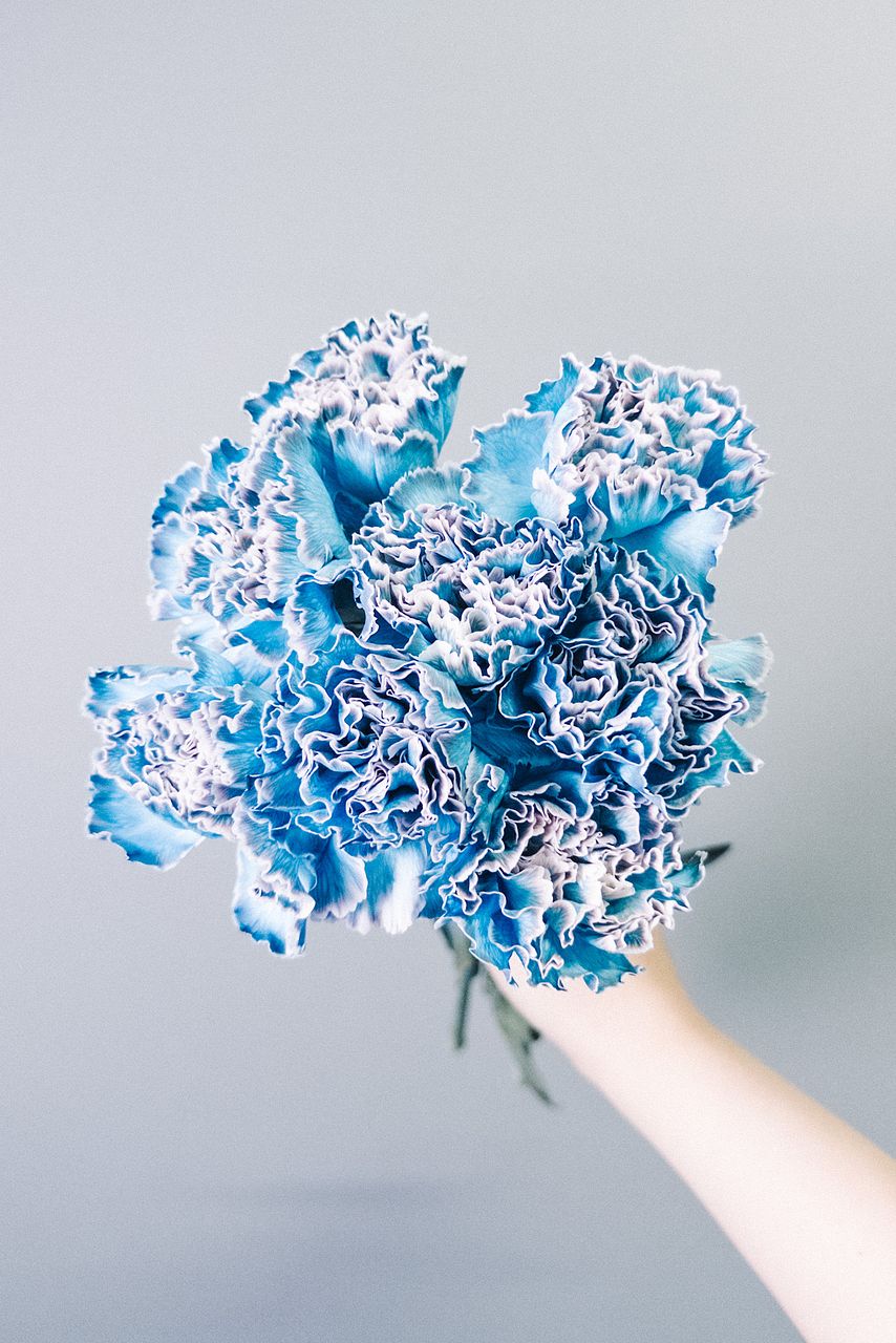 ストライプグリーンのパフィオ