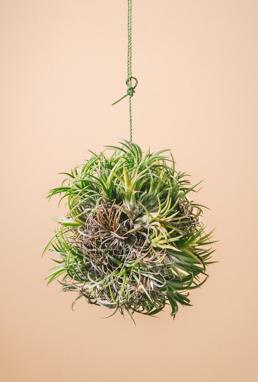 large_7c552adb-edf9-4fa9-b486-