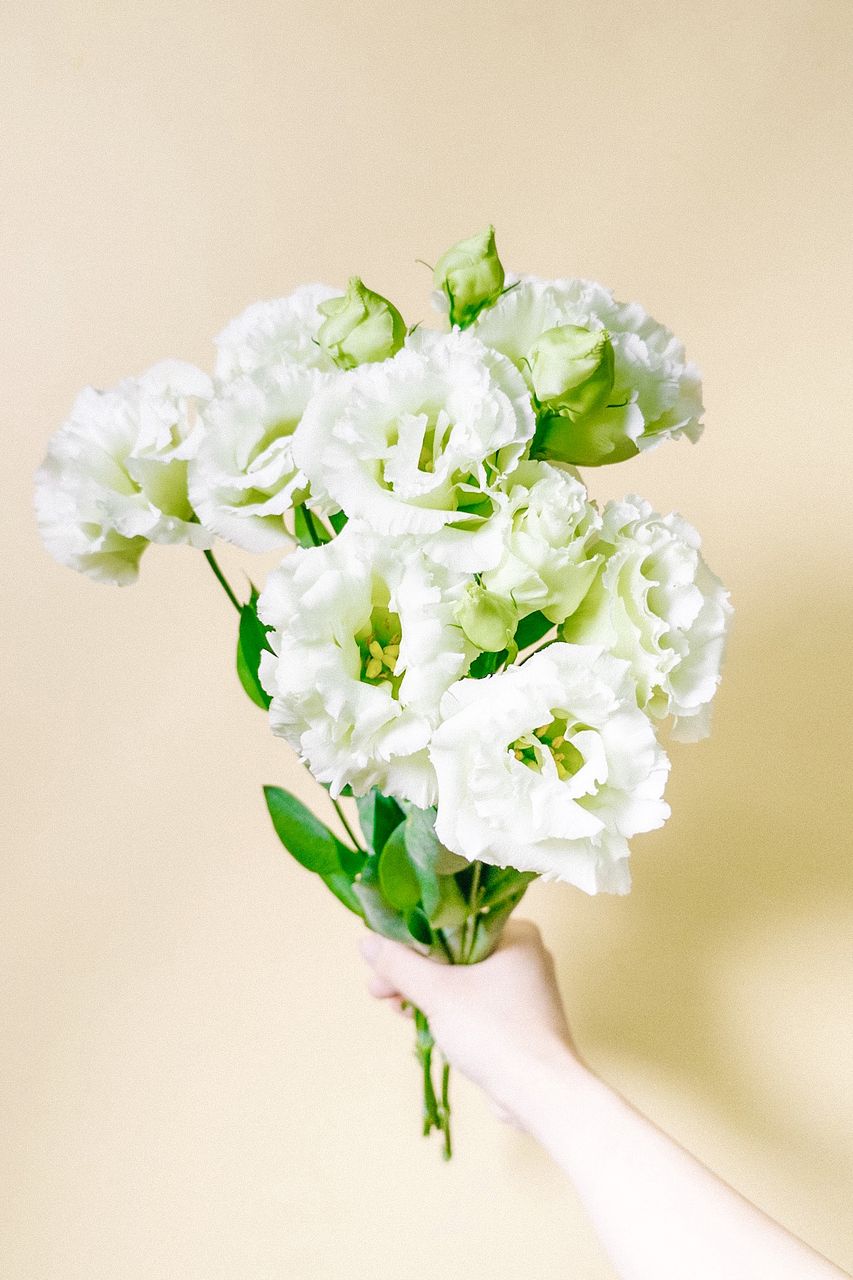 5束バラブーケ❣️ FLOWER｜かわいい花束を【送料無料】でお届け！毎日お得な