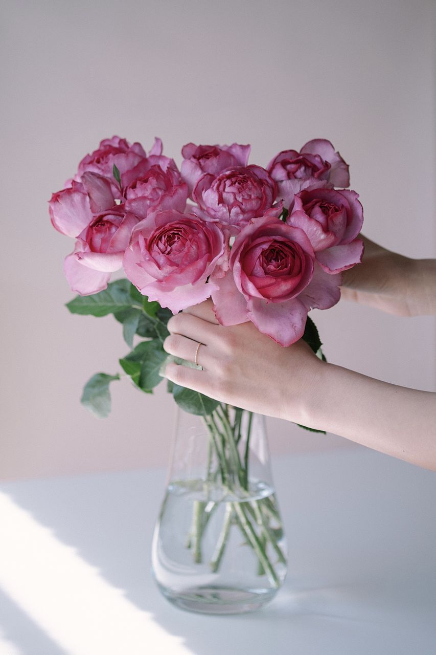 イタリア　クリスマスローズ　花瓶 fChr-Mgn.jpg