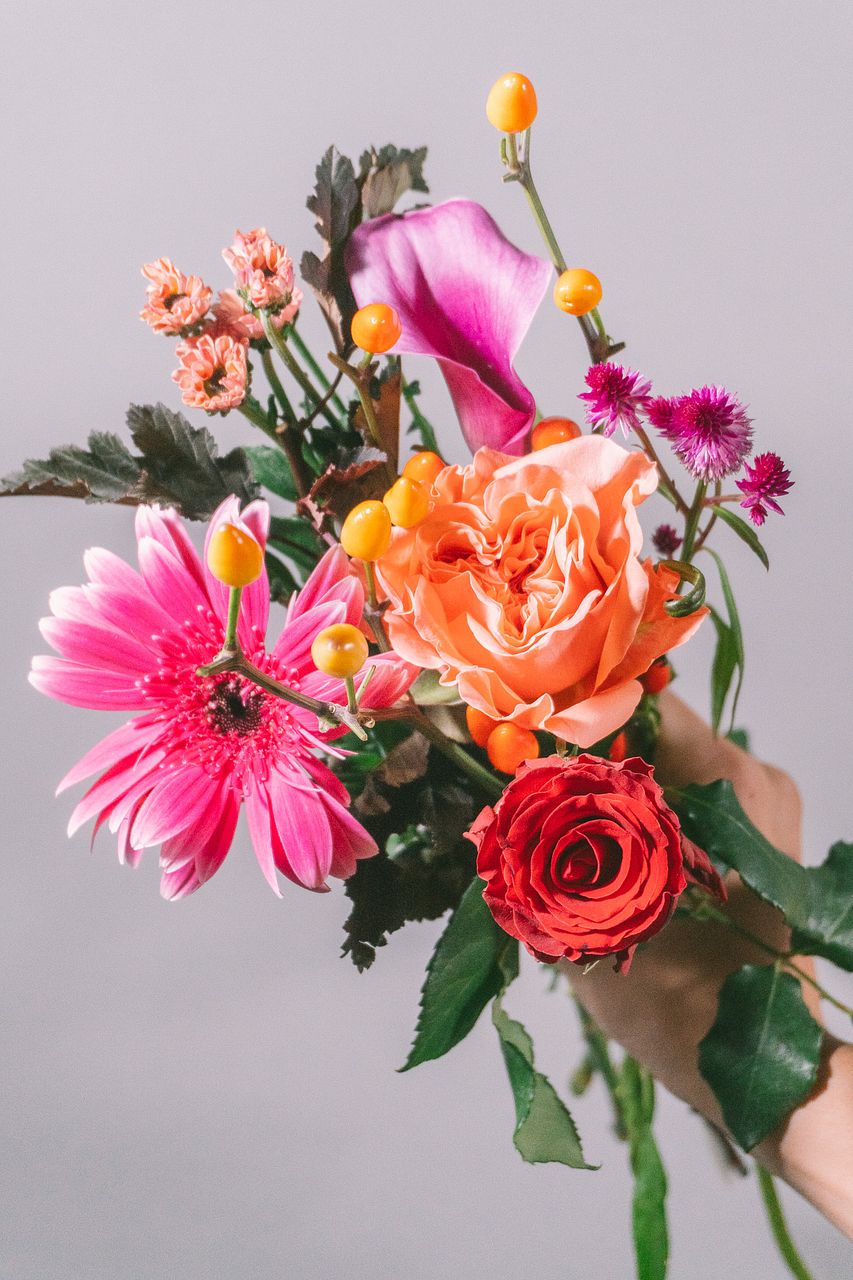 カラー・カンパニュラ・タマシダのピンクブーケ カラー