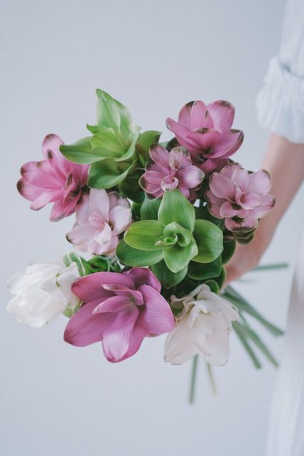 FLOWER｜かわいい花束を【送料無料】でお届け！毎日お得な